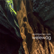 
				Aeschbacher Werner: Welewg